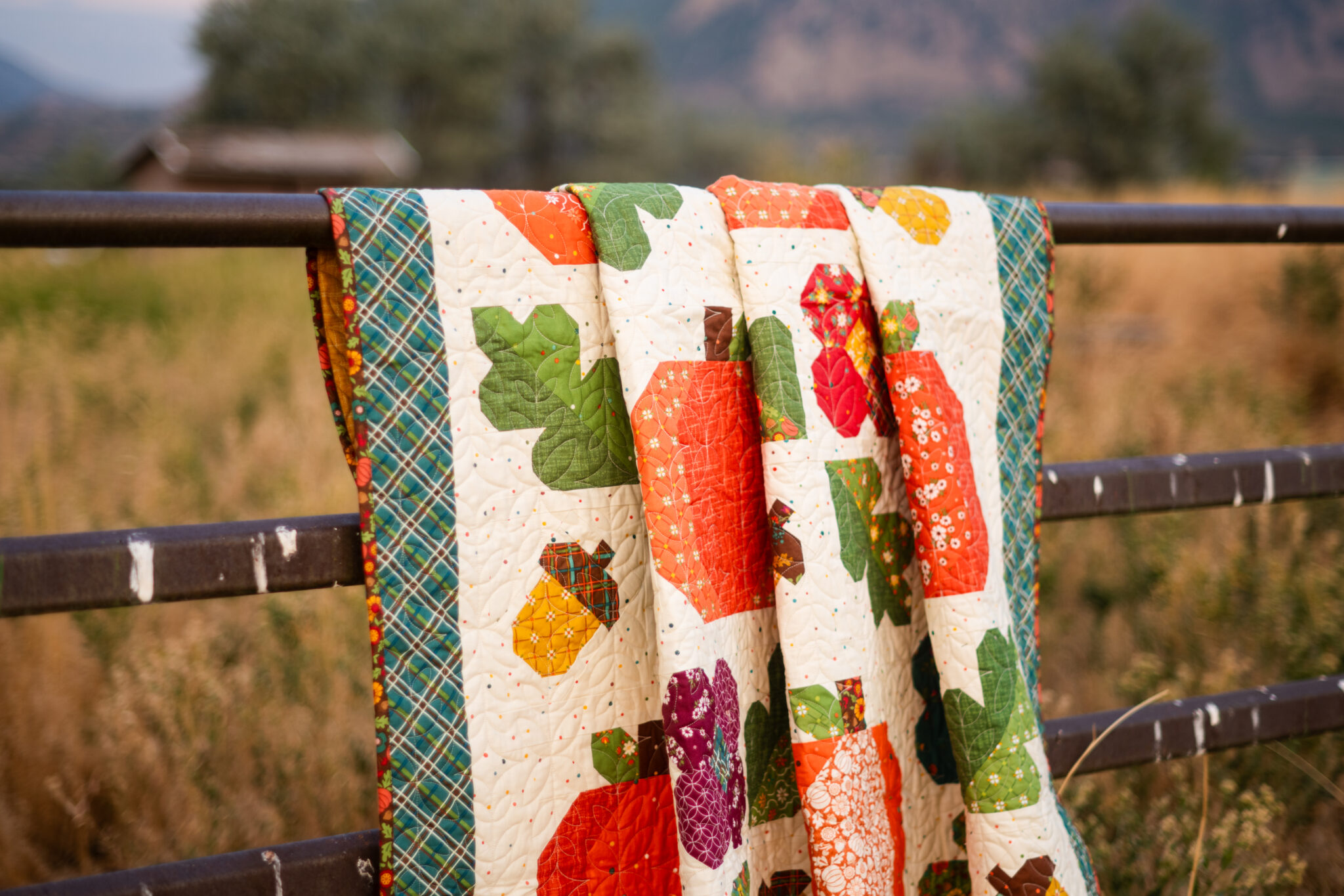 New Autumn Quilts!