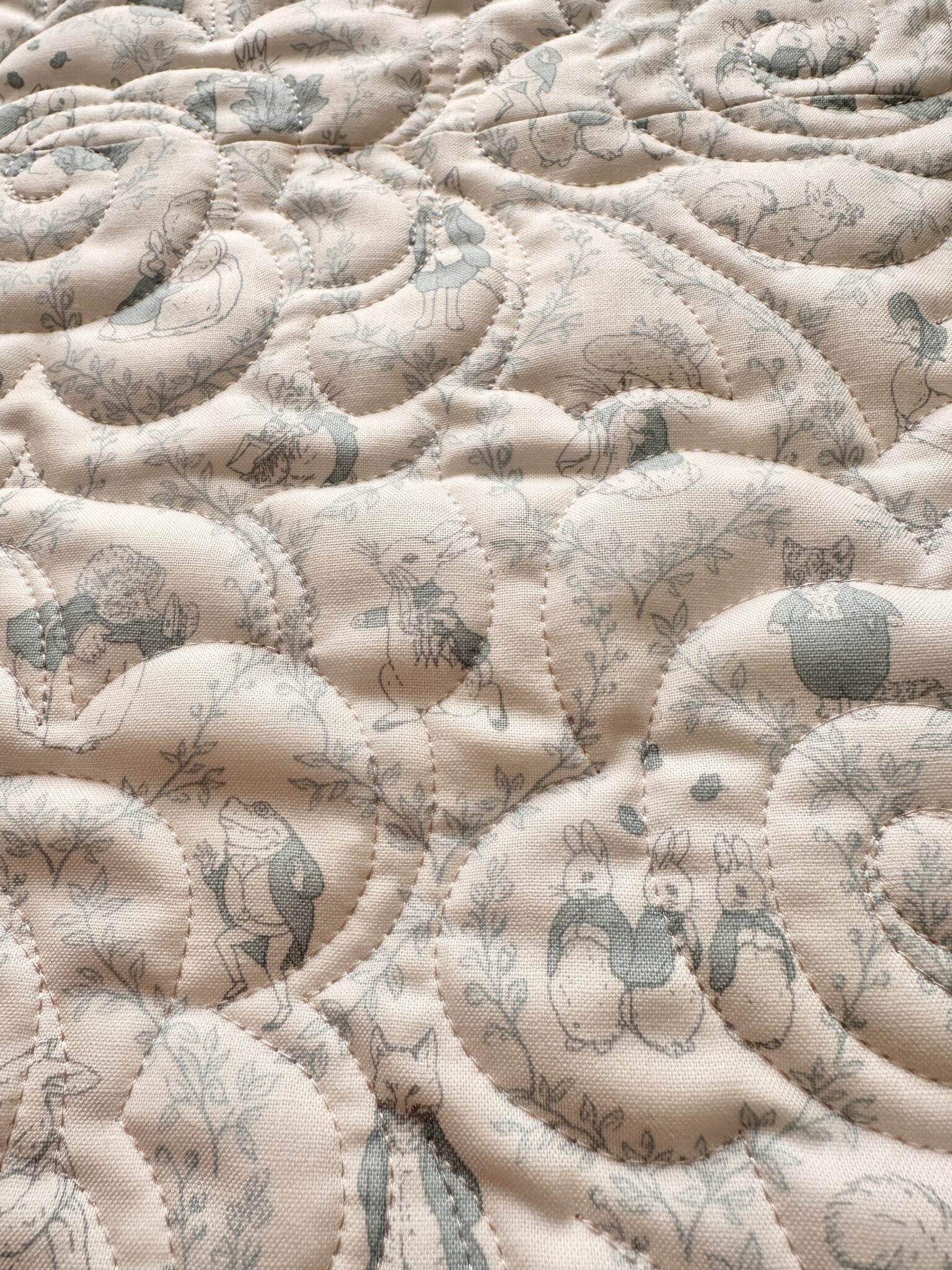 Make a Warm Heart Quilt with Peter Rabbit & Friends